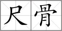 尺骨