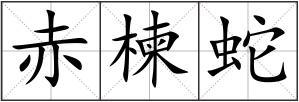 赤楝蛇
