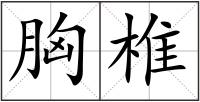 胸椎