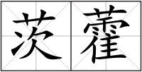 茨藿