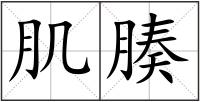 肌腠