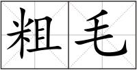 粗毛