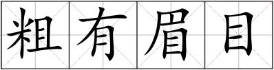 粗有眉目