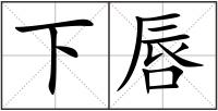 下唇