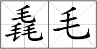 毳毛