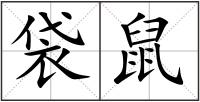 袋鼠