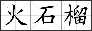 火石榴