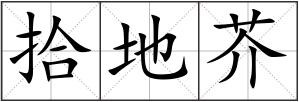 拾地芥