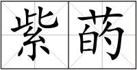 紫菂
