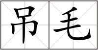 吊毛