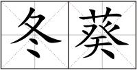 冬葵