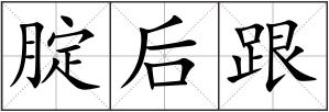 腚后跟