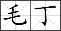 毛丁