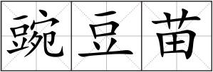 豌豆苗