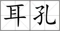 耳孔