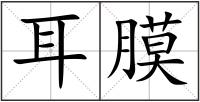 耳膜