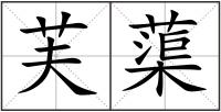 芙蕖