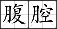 腹腔