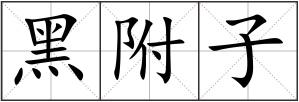 黑附子