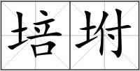 培坿