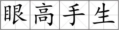 眼高手生