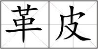 革皮