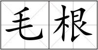 毛根