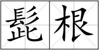 髭根