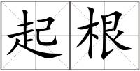 起根