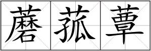 蘑菰蕈