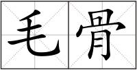 毛骨