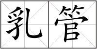 乳管