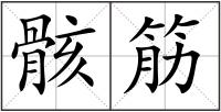 骸筋