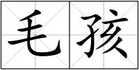 毛孩