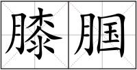 膝腘