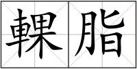 輠脂