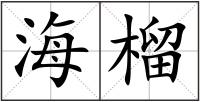 海榴