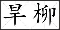 旱柳