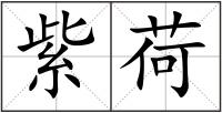 紫荷