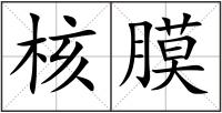 核膜