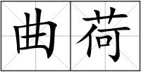 曲荷