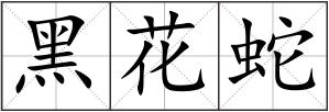 黑花蛇