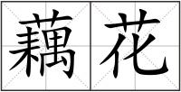 藕花