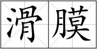 滑膜