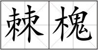 棘槐