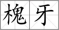 槐牙