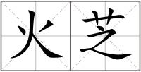火芝