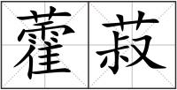 藿菽
