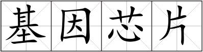 基因芯片