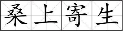 桑上寄生